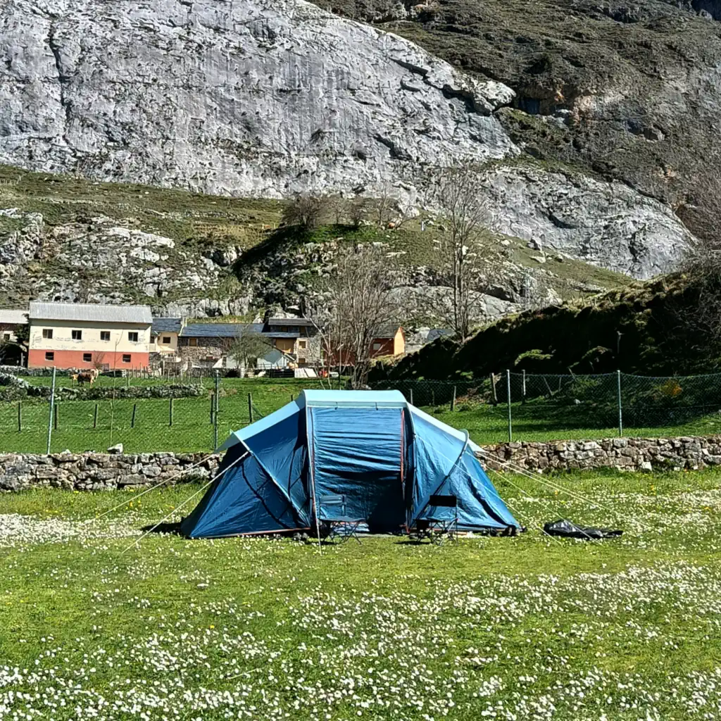 Zona de Acampada Camping Lagos de Somiedo