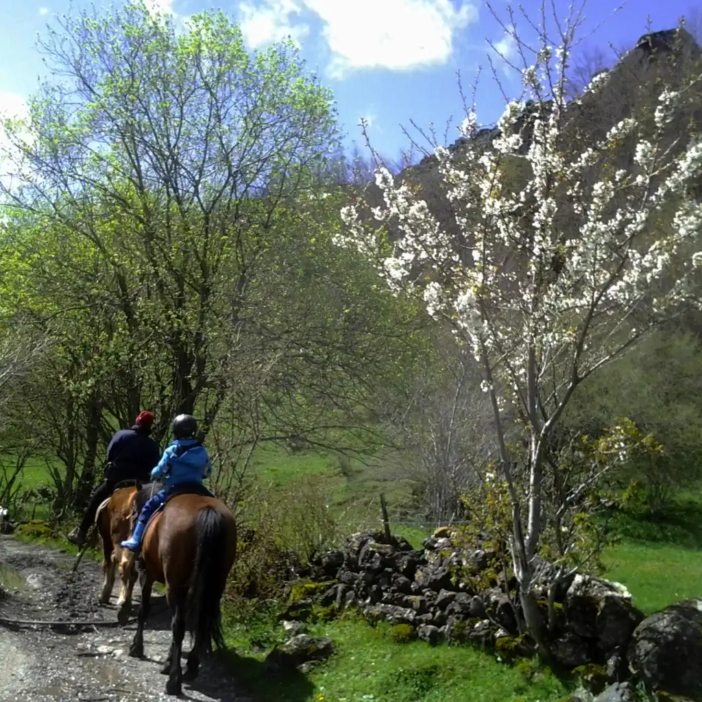Rutas a Caballo El Chugarín