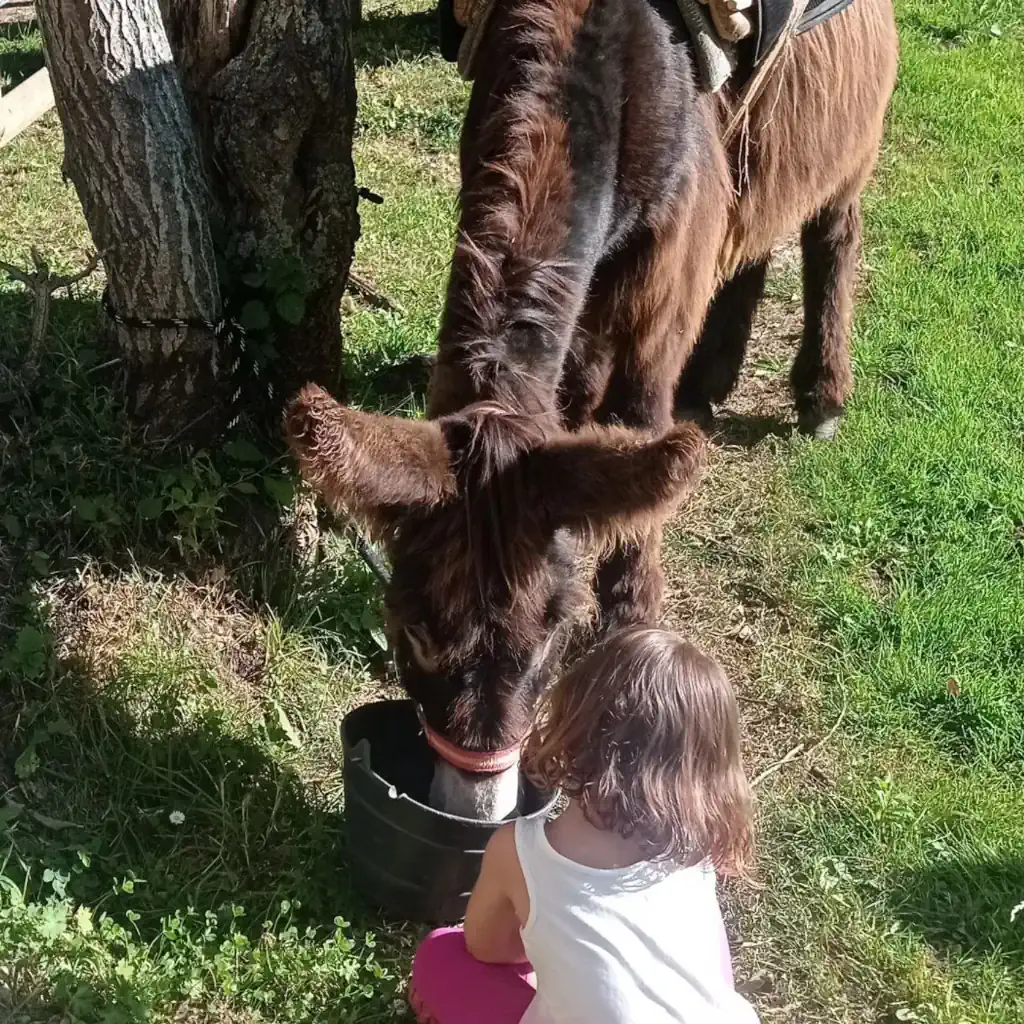 Granja Infantil